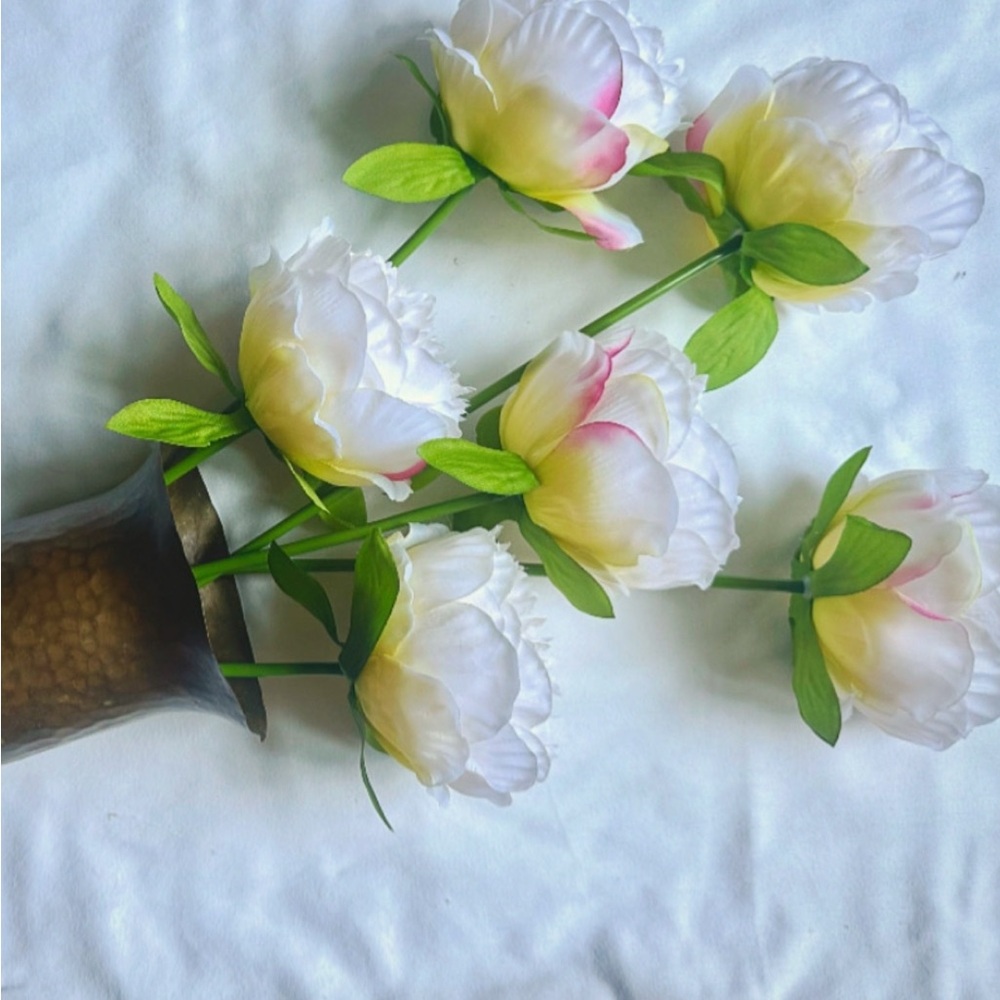 Elegant White and Pink Peonies (6)